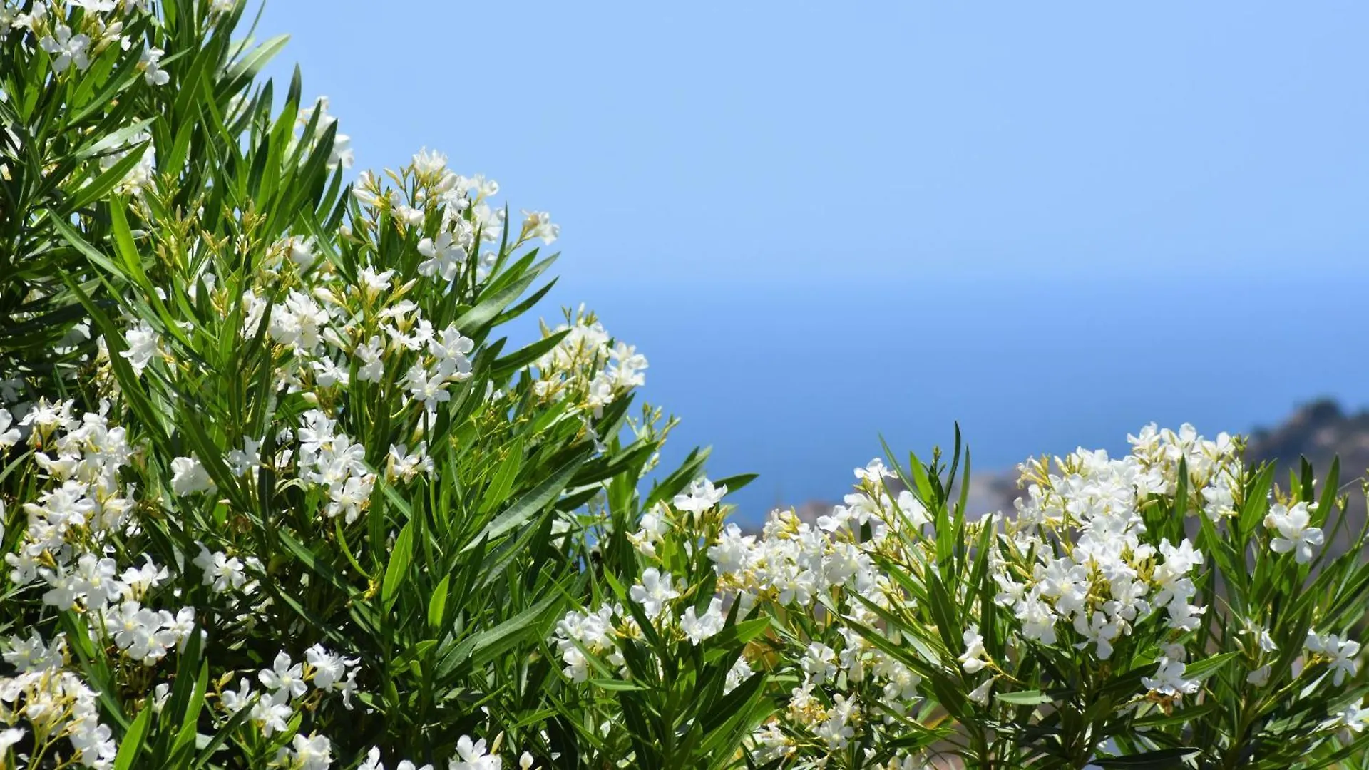 Villa La Lomilla Nerja Holiday home